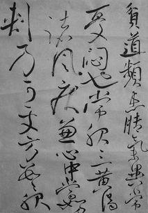 成人草书视频教学全集