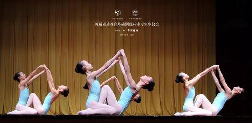 儒林成人舞蹈视频教学,成人舞蹈视频教程带你领略古典与现代交融之美