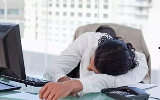 成人惊厥猝死案例大全视频,全方位剖析与警示