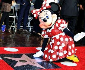 幼儿园成人世界视频,揭秘日常生活中的教育启示