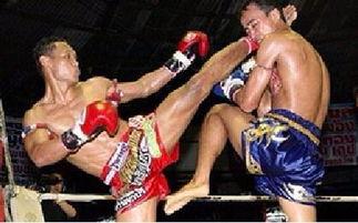 成人搏击视频音乐推荐,点燃你的战斗激情