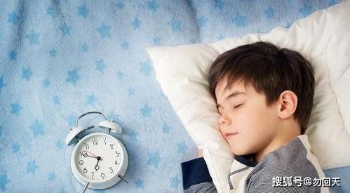 哄成人睡觉视频大全集,精选哄成人入睡视频大全集