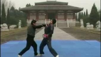 成人散打摔法视频大全,视频大全中的实战技巧揭秘