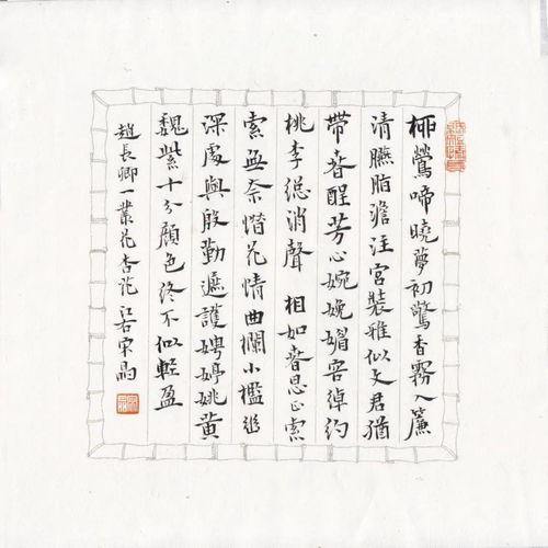 成人书写小楷作品欣赏视频