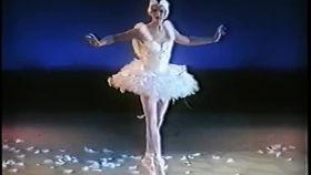 成人芭蕾舞片段视频,成人芭蕾舞片段魅力解析